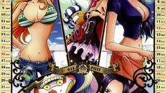 One Piece (anime) Calendar
