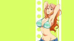 One Piece (anime) long