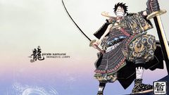 One Piece (anime) monkey