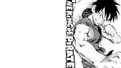 One Piece (anime) monkey