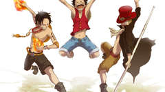 One Piece (anime) monkey