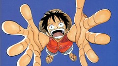 One Piece (anime) monkey