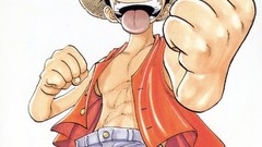 One Piece (anime) monkey