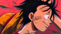 One Piece (anime) monkey