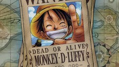 One Piece (anime) monkey