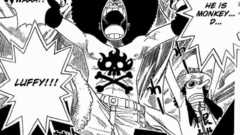 One Piece (anime) monkey