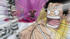 One piece Anime monkey