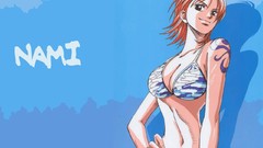 One Piece (anime) Nami (One Piece)