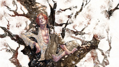 One Piece (anime) pices