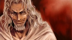 One Piece (anime) rayleigh
