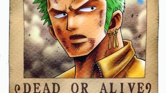 One Piece (anime) Roronoa