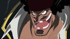 One Piece (anime) Shichibukai