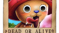 One Piece (anime) Wanted