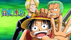 One piece roronoa zoro