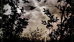 One sorrow insomnium album covers Metal Music