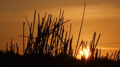 One thanks The had ones knew missed