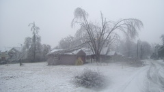 One The and This icestorm icestorms