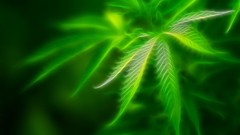 One You The but Know talking about