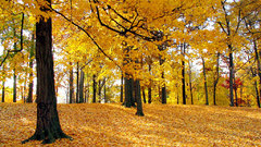 One You ) With This rjefvo