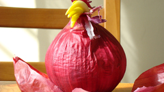 Onions onion zwiebel Food