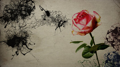 Op here just finished