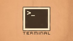 Operating Systems Terminal Vignette
