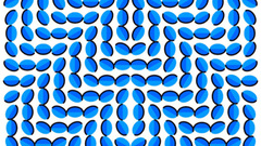 Optical illusion