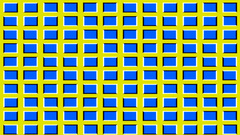 Optical illusions