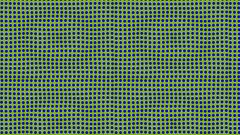 Optical illusions