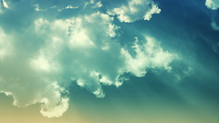 Or any similarity high