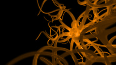 Orange abstract