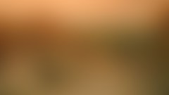 Orange abstract gradient brown blurred minimalistic gaussian 