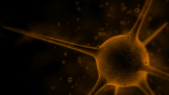 Orange black abstract