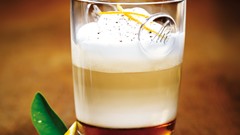 Orange coffee food cafe