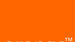 Orange Food and Drinks