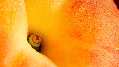 Orange fruits peaches