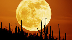 Orange moon desert sand