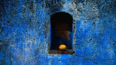 Orange oranges Mexico santa maria niche Puebla