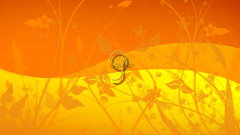 Orange squid nature abstract