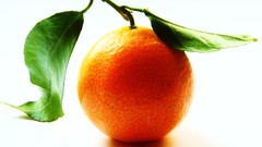 Oranges fruits
