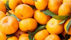 Oranges fruits