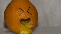 Oranges funny fruits