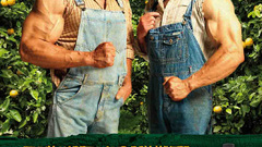 Oranges muscular posters old