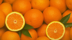 Oranges orange slices