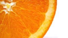 Oranges slices digital art