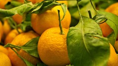 Oranges Vitamins fruits