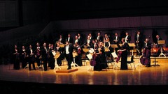 Orchestra vienna Mozart