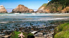 Oregon devil Florence Parks elbows lighthouses