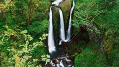 Oregon falls