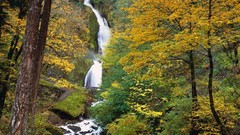 Oregon falls rivers